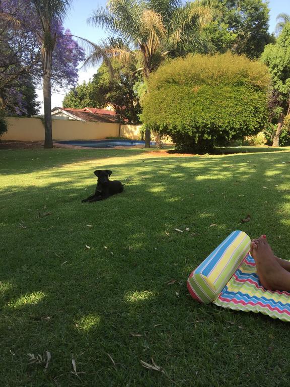 Khuvena Guesthouse Randburg Esterno foto